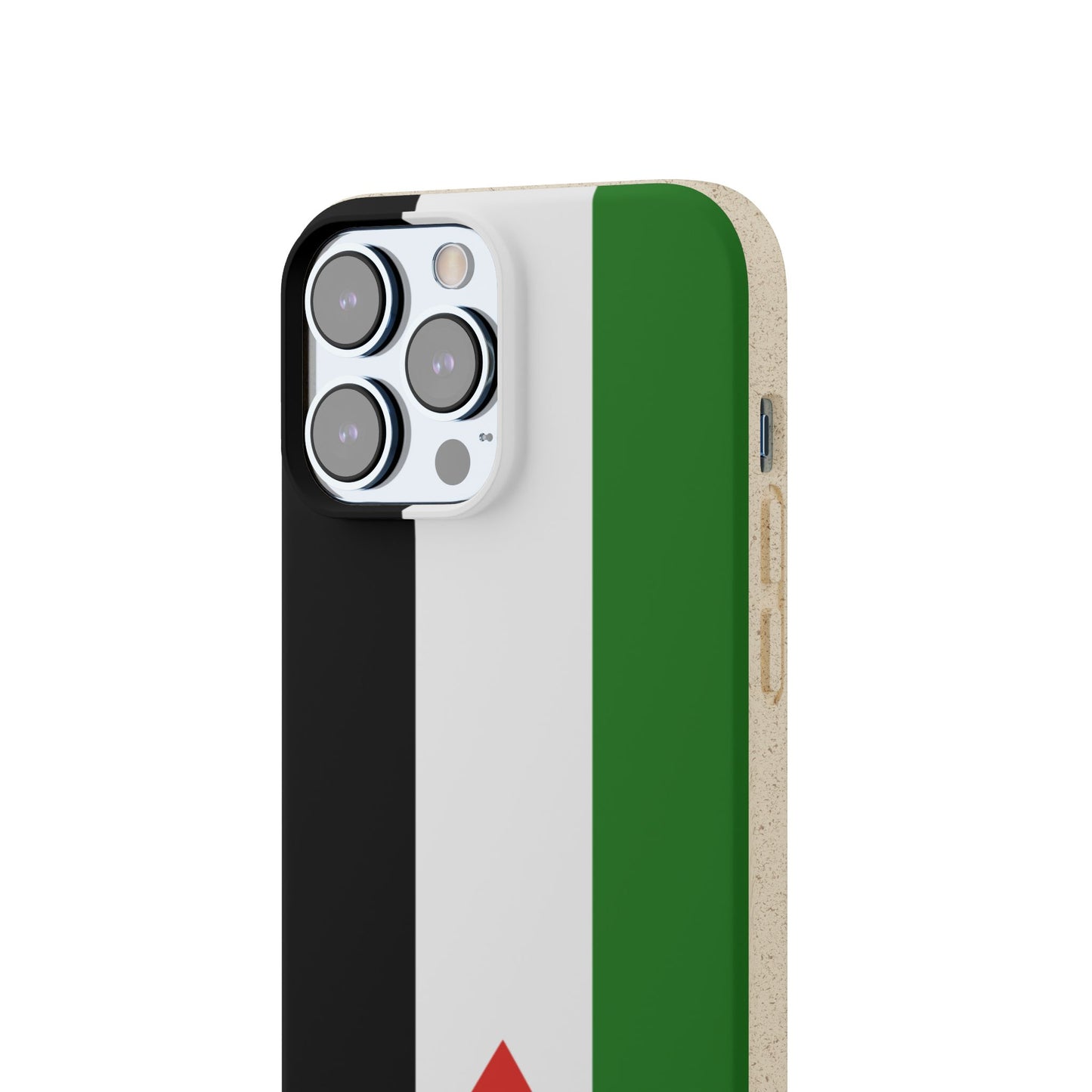 Flag of Palestine