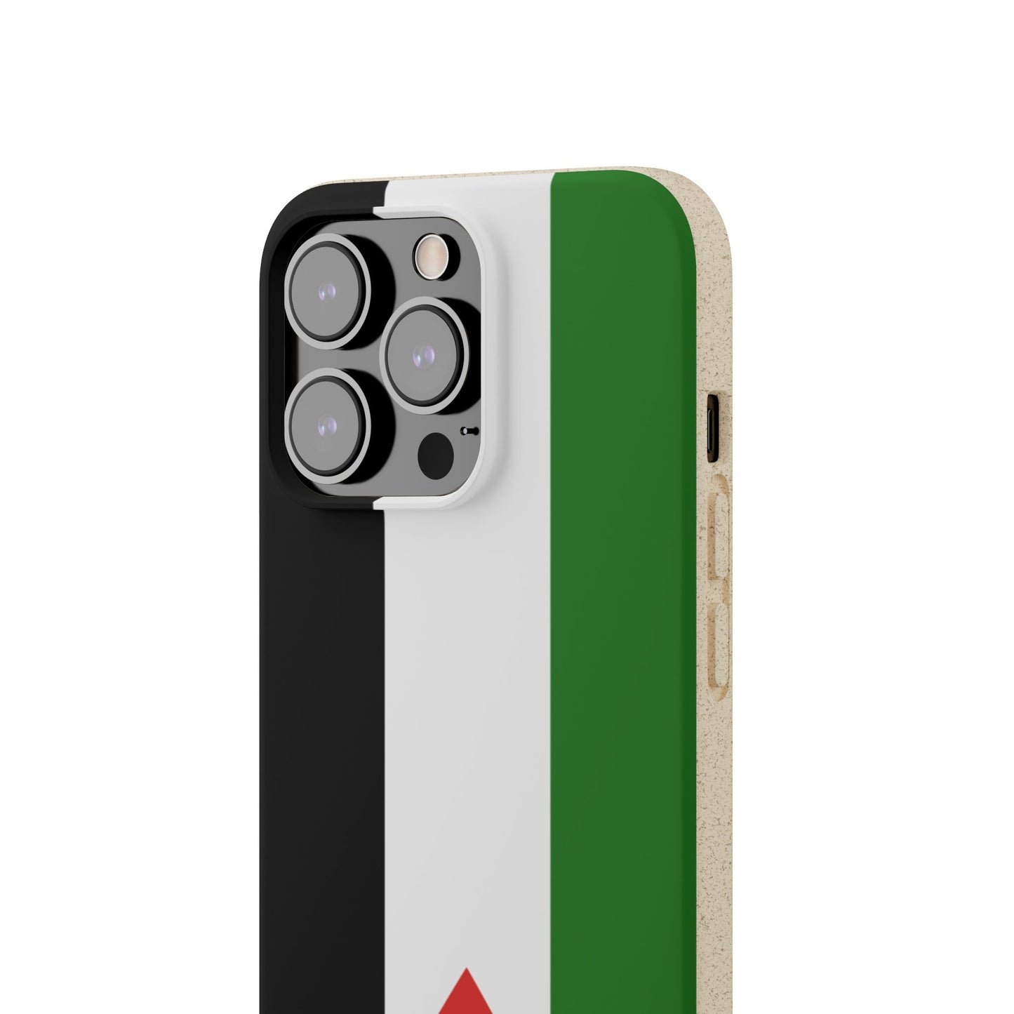 Flag of Palestine