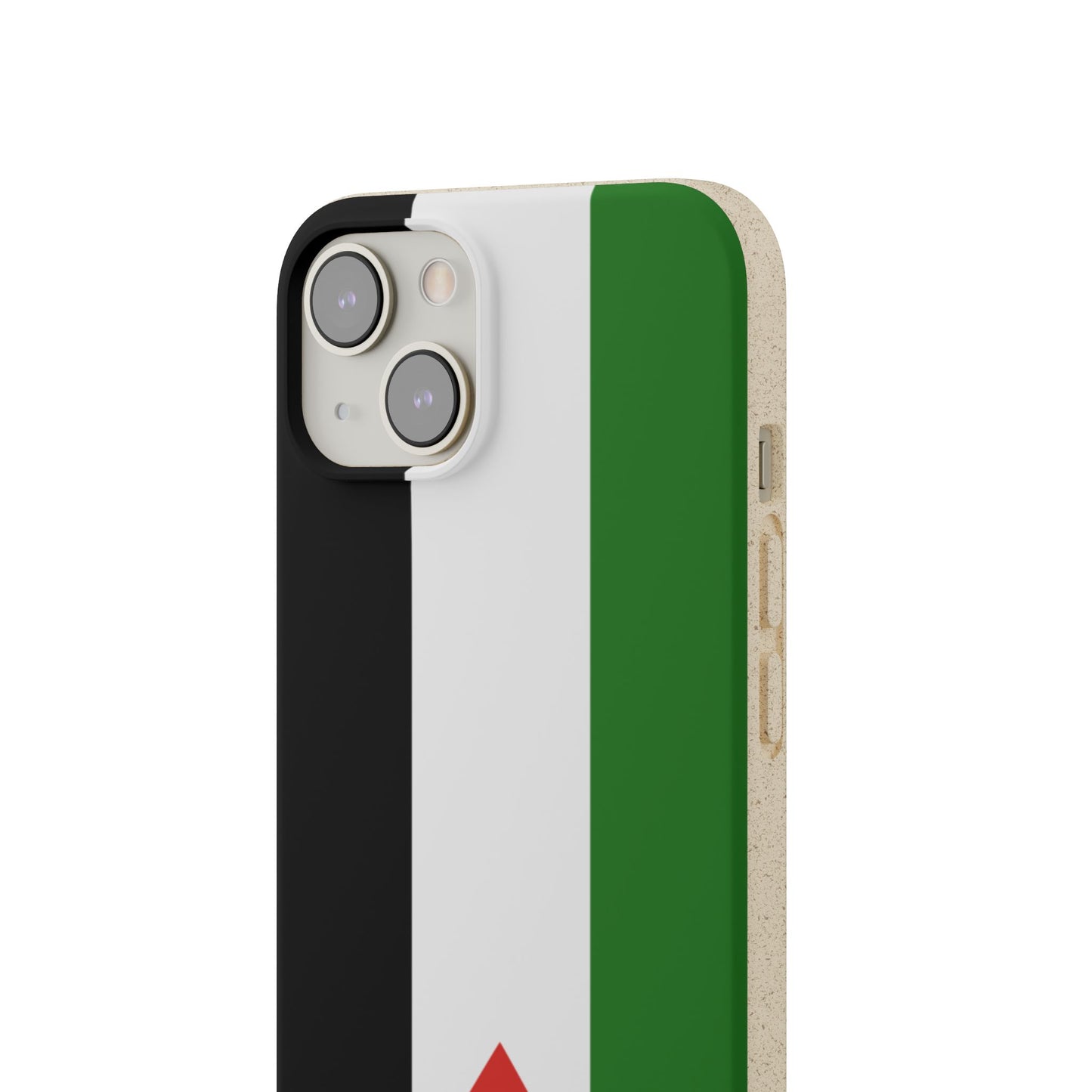 Flag of Palestine