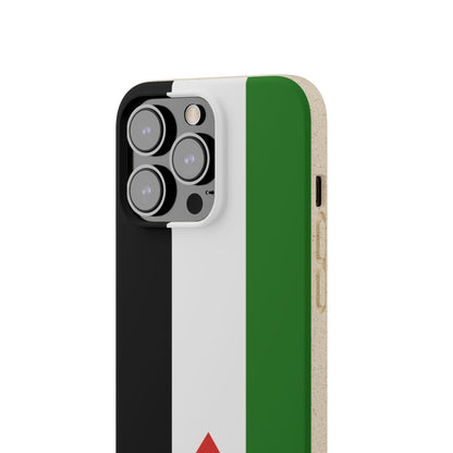 Flag of Palestine