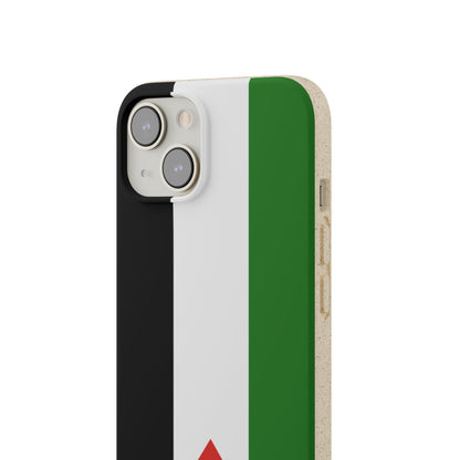 Flag of Palestine